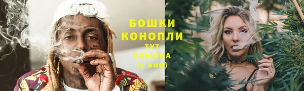 PSILOCYBIN Коряжма