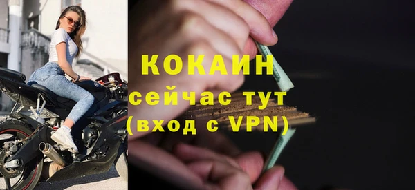 индика Костерёво