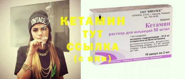 индика Костерёво