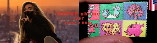 индика Костерёво