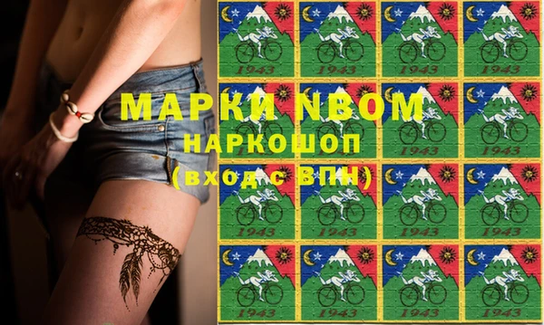 индика Костерёво