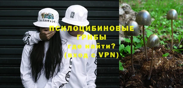 метадон Кодинск