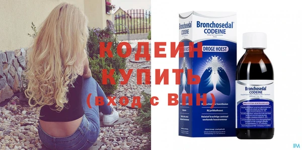 индика Костерёво