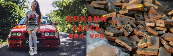 индика Костерёво