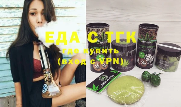 индика Костерёво