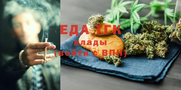 индика Костерёво