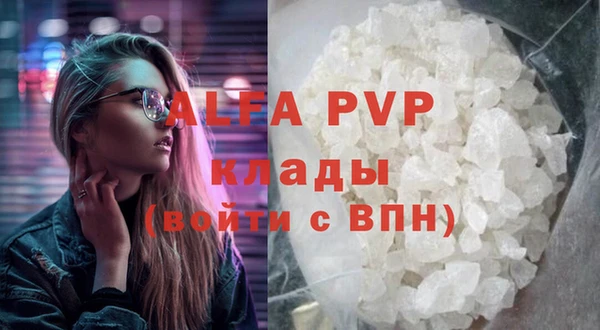 индика Костерёво