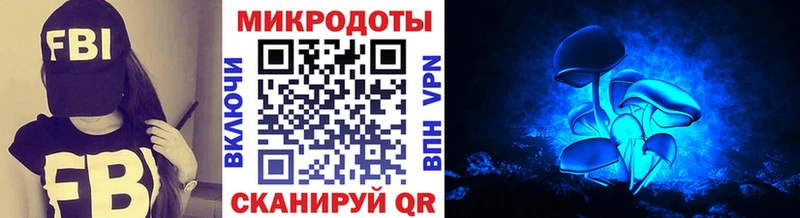 Псилоцибиновые грибы Psilocybe Купить Менделеевск